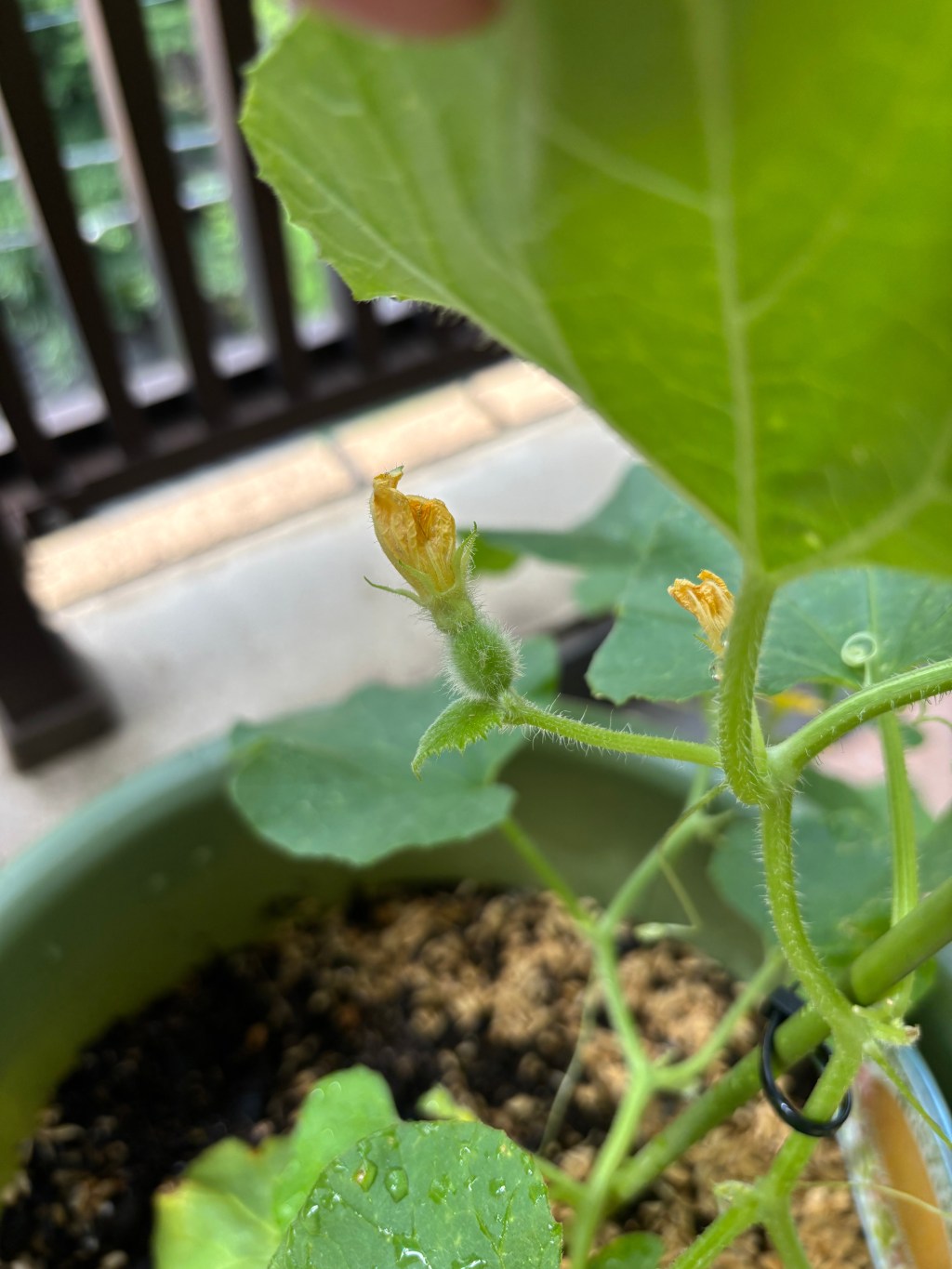 💡編集長コラム「探している最中です」