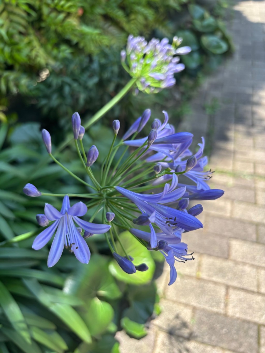 💡編集長コラム「私を見つけてください」